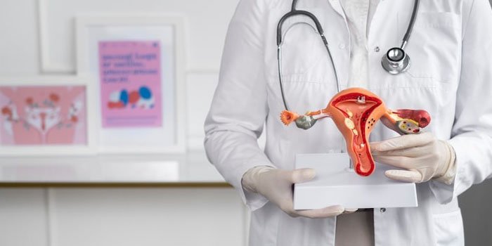 Gynaecological Endoscopy South Delhi